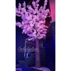 درخت شکوفه برای بزرگترین باشگاه گیمینگ ایران